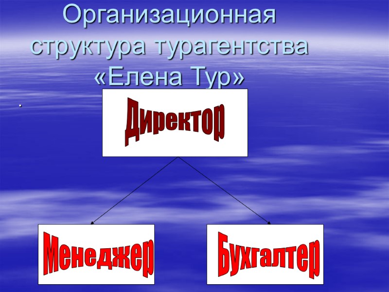 Организационная структура турагентства «Елена Тур» .